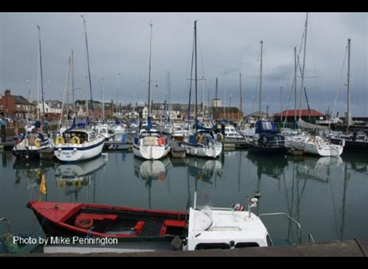 Arbroath.Looking ENE across the marina. Loads of room between fingers