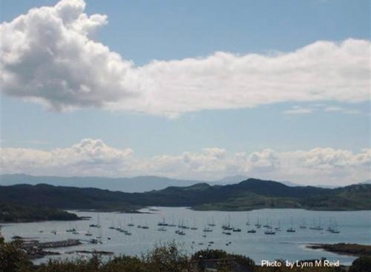 Looking SSW over the moorings. Bit hazy but does show the alignment of the trots