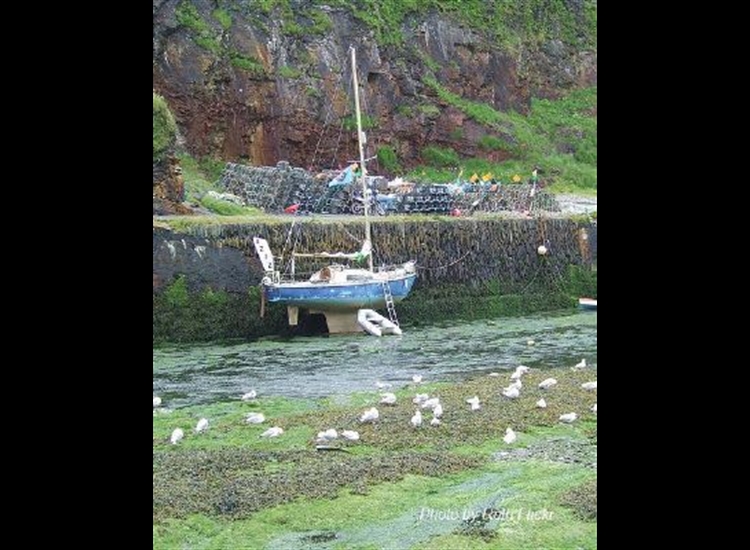 Boscastle. Visiting yacht. Note the ladder and the rough wall
