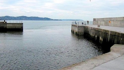 bray