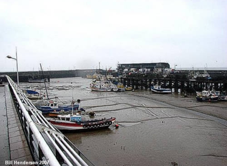 Harbour Dries to Soft Mud