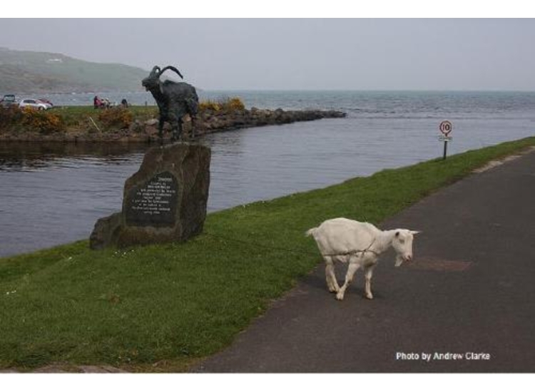 Cushendun entrance at high water
