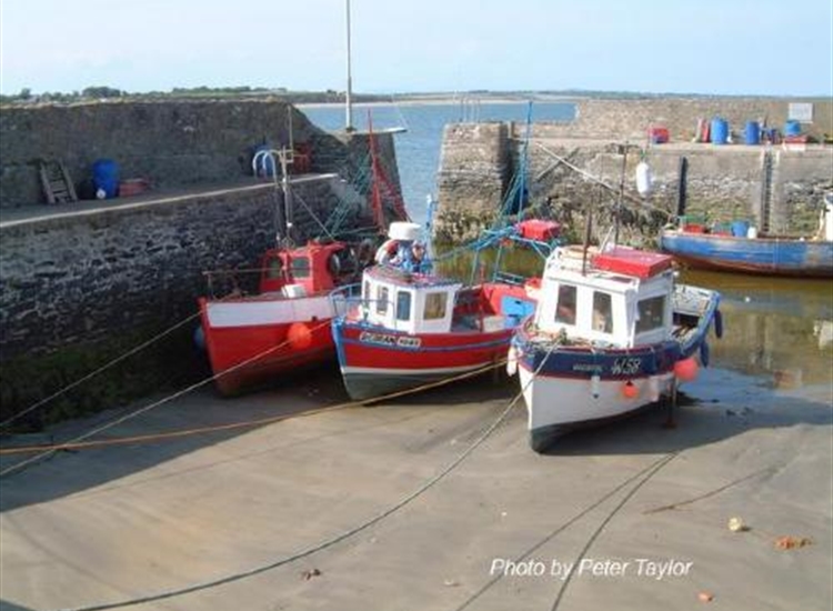 Fethard Harbour