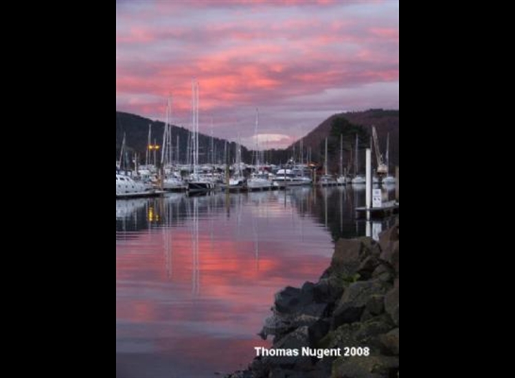 Looking Into The Marina