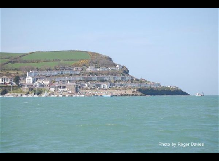 New Quay from the middle of the Bay