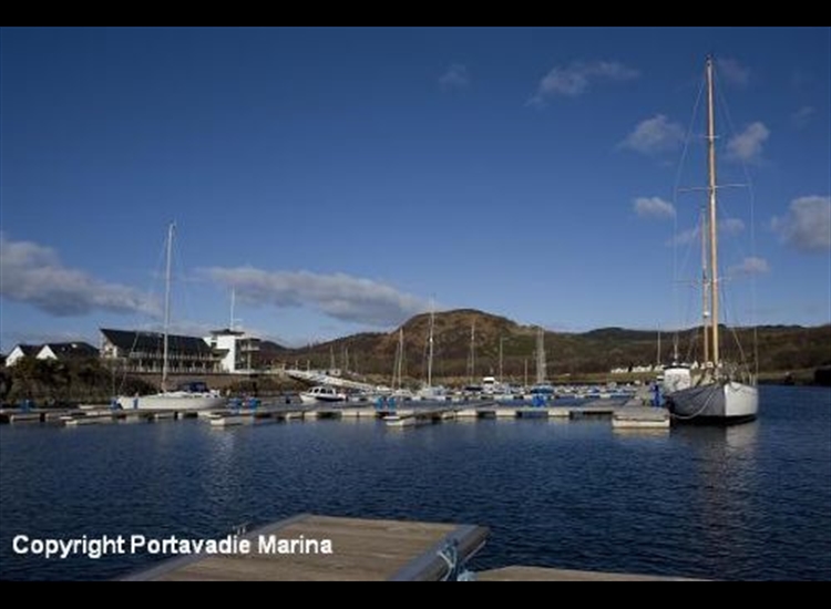 Within the Marina, 2009