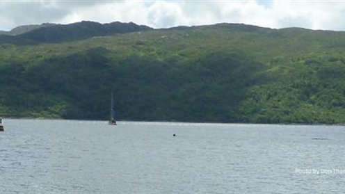 salen-jetty