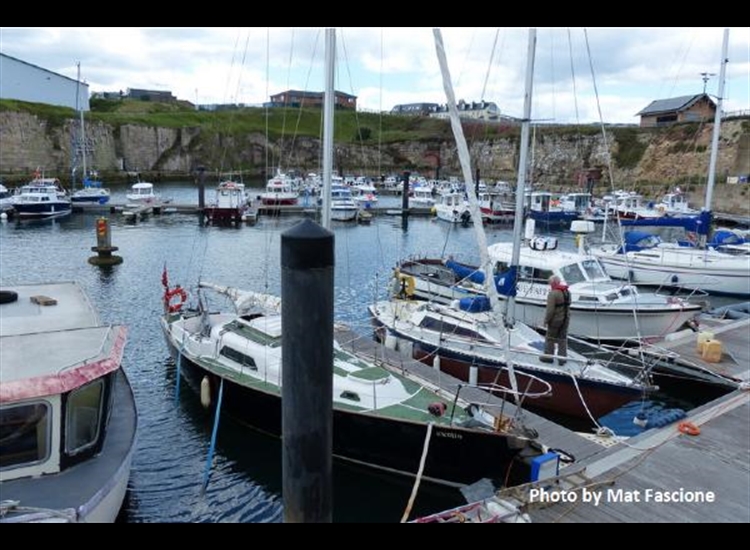 Looking across the marina from the visitors berths