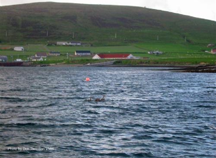 Houton