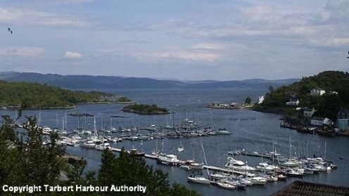 tarbert