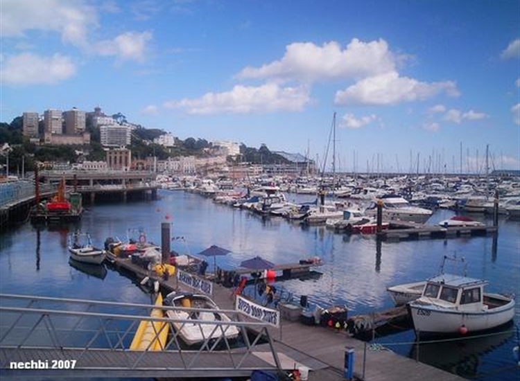 NW corner of harbour