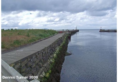 Girvan Harbour